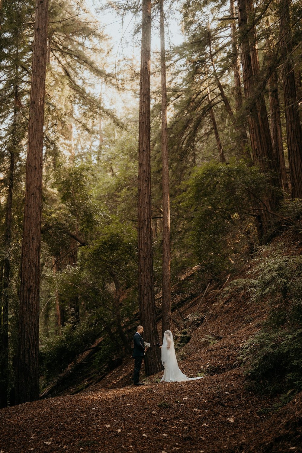Bride and groom standing in the redwood forest during their Big Sur elopement