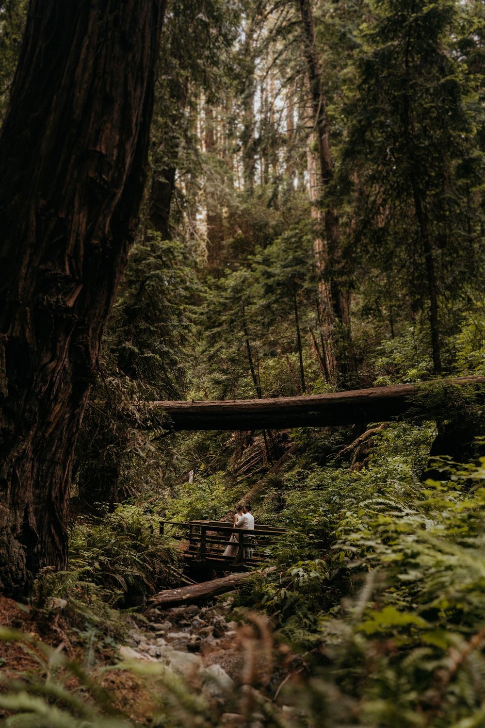 Marin Headlands elopement photos in the forest