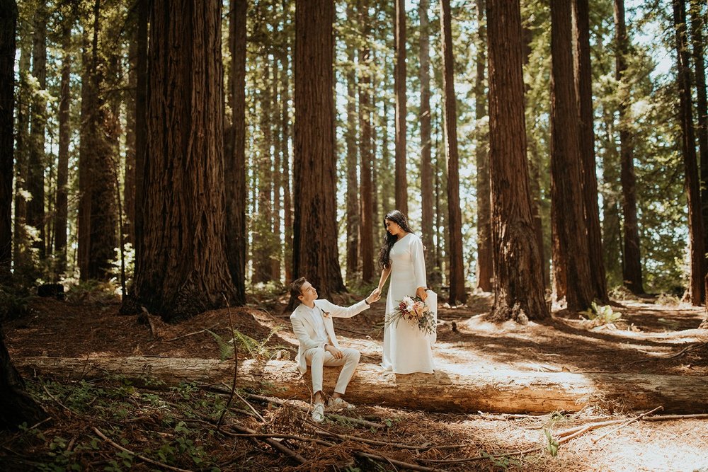 Bride and groom Redwoods elopement photos in California