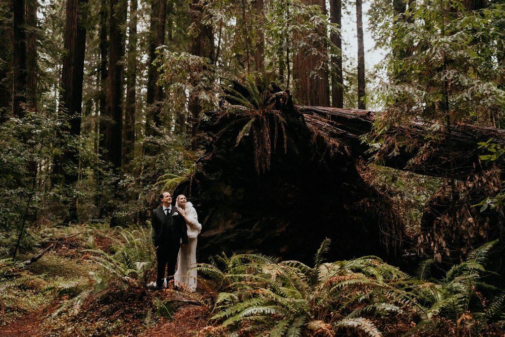 Redwoods elopement photos in Northern California