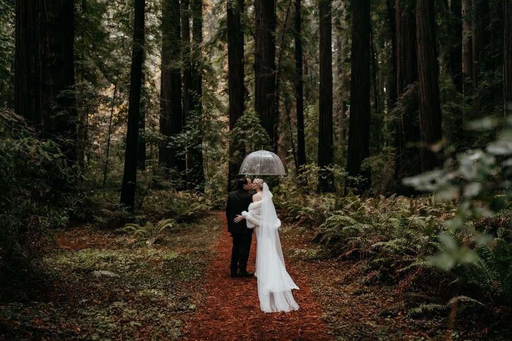 California elopement photos at Redwoods National Park