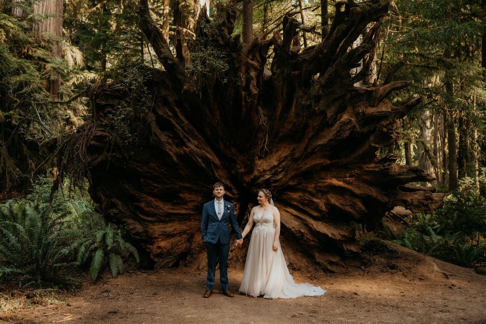 Bride and groom hold hands in front of a large fallen redwood tree stomp during their Redwoods elopement in California