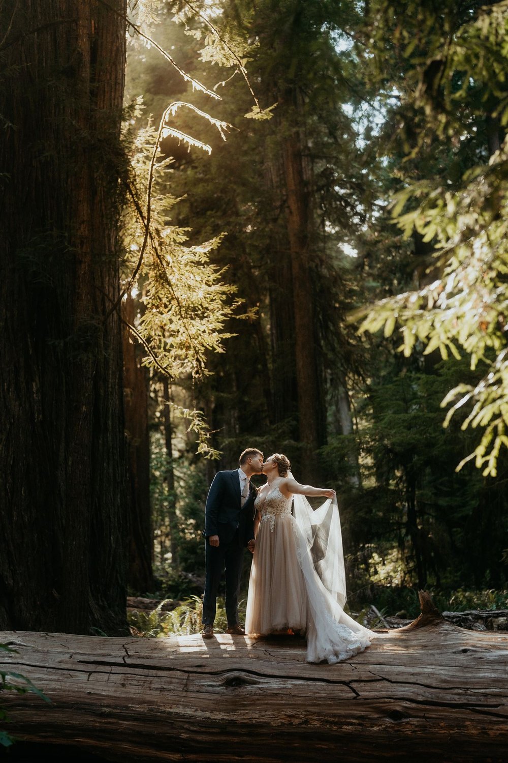 Bride and groom stand on a tree stump during their Redwoods forest elopement