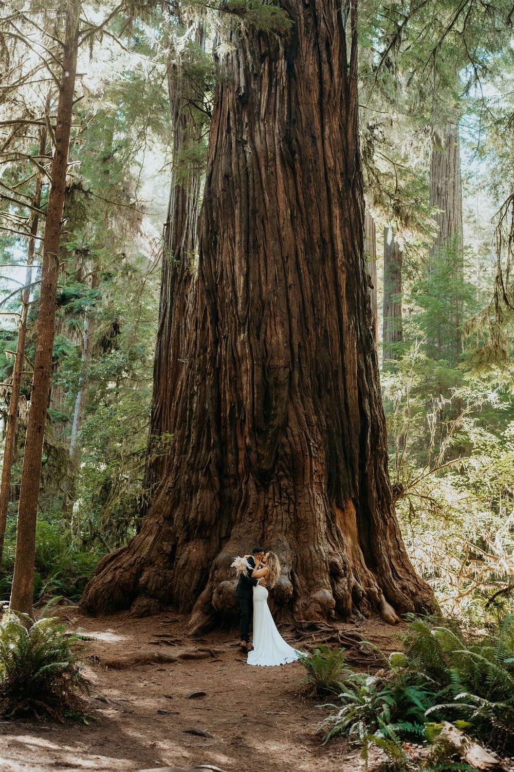 Bride and groom hug in front of a large redwood tree at their California forest elopement