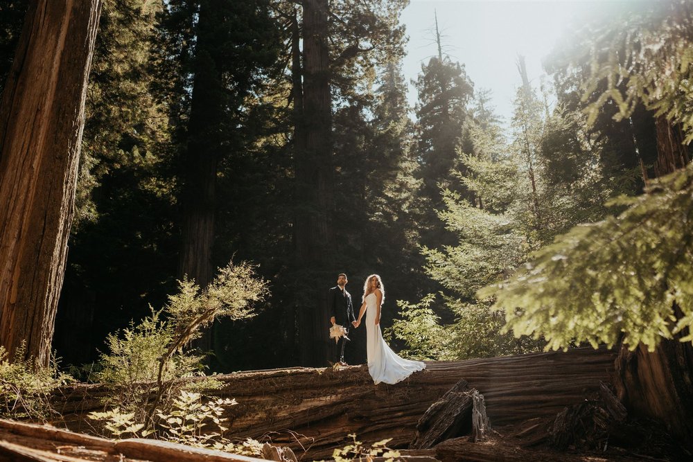 Bride and groom stand on a large fallen redwood tree during their California elopement in the forest