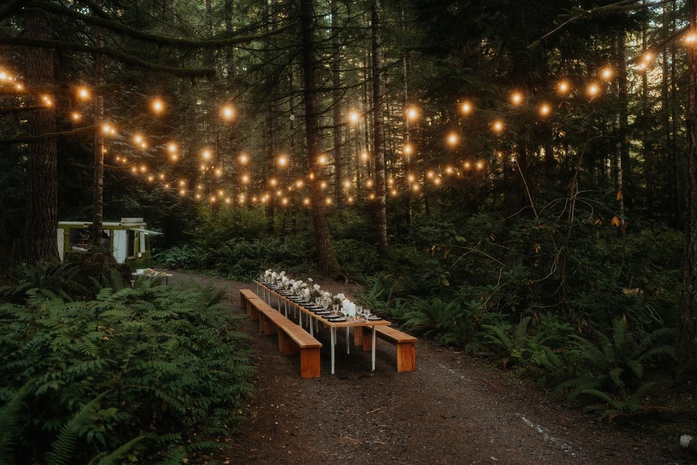 Forest elopement reception with string lights