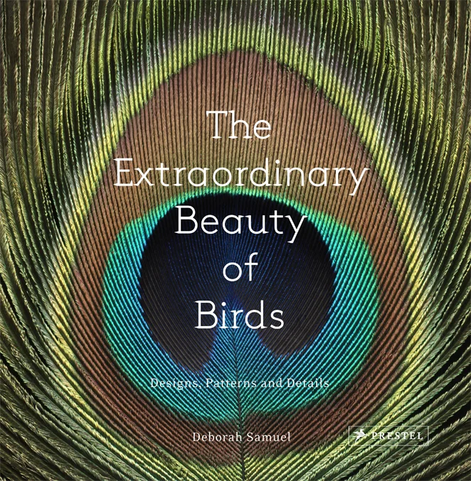 The Extraordinary Beauty of Birds Cover.jpg
