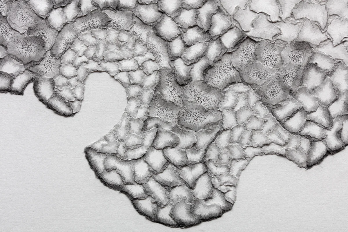 The Common Map (Detail)