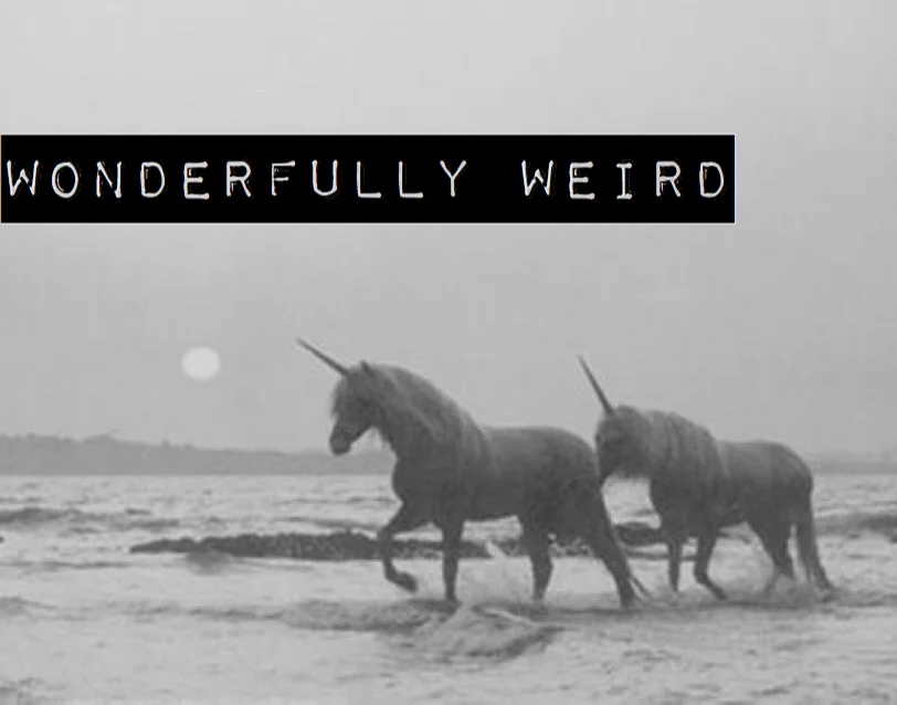 WONDERFULLY_WEIRD.jpg