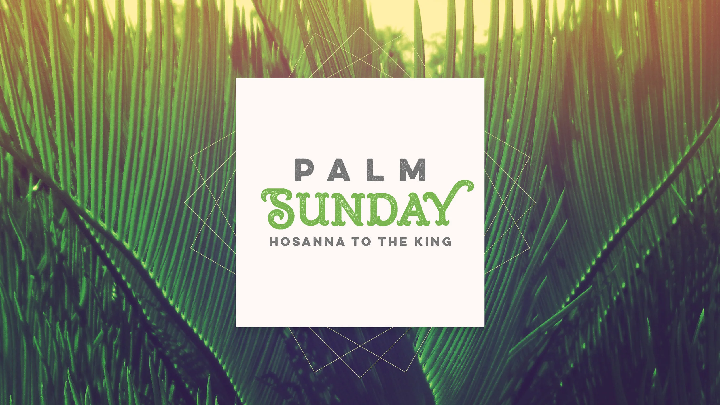 Palm Sunday.jpg