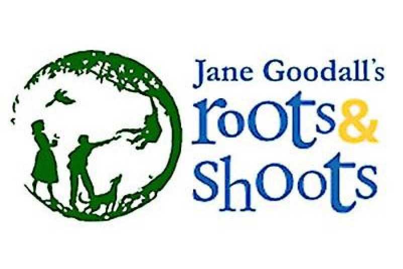 roots and shoots.jpg