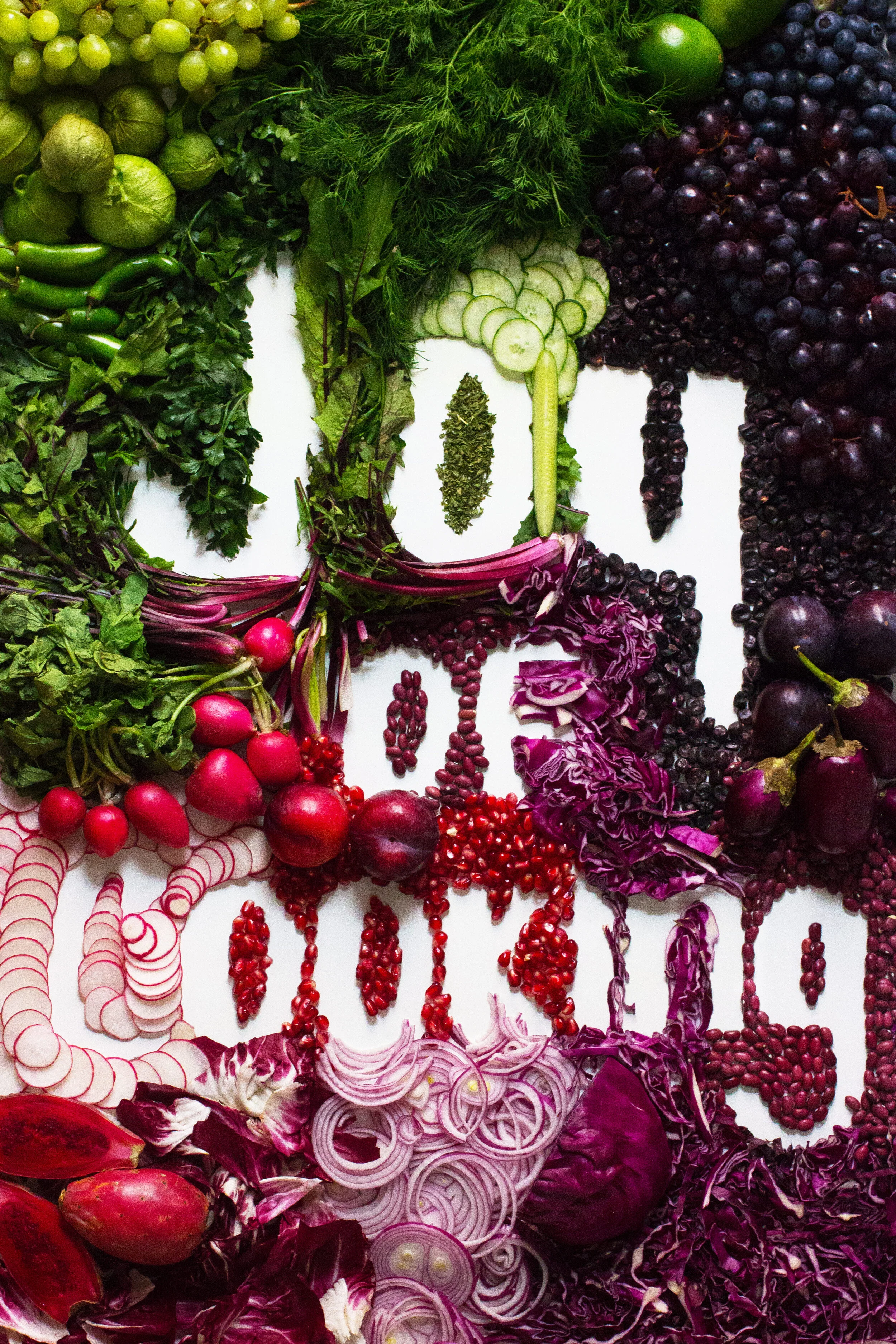 JoyofCooking_Cover.jpg