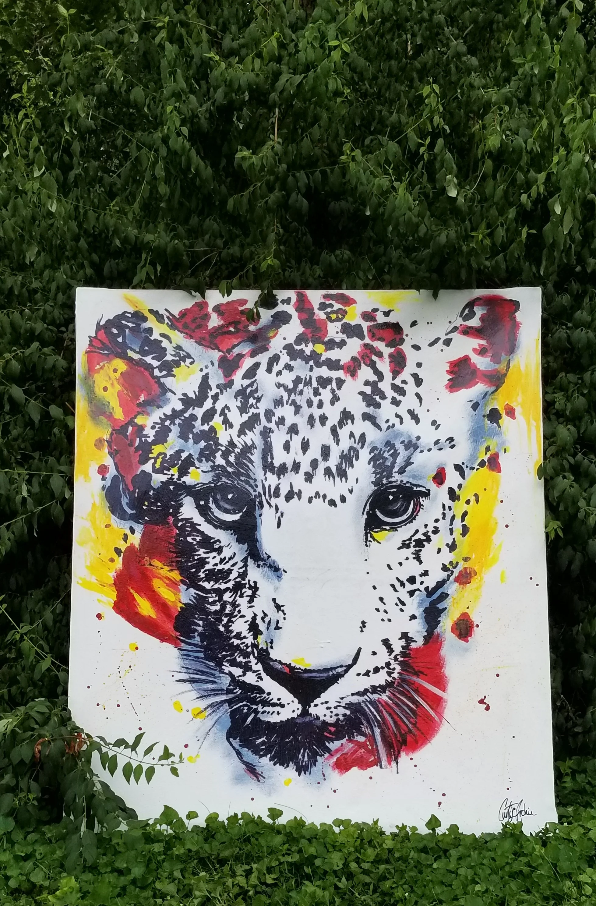 Jaguar  - Curtis Archie.jpg