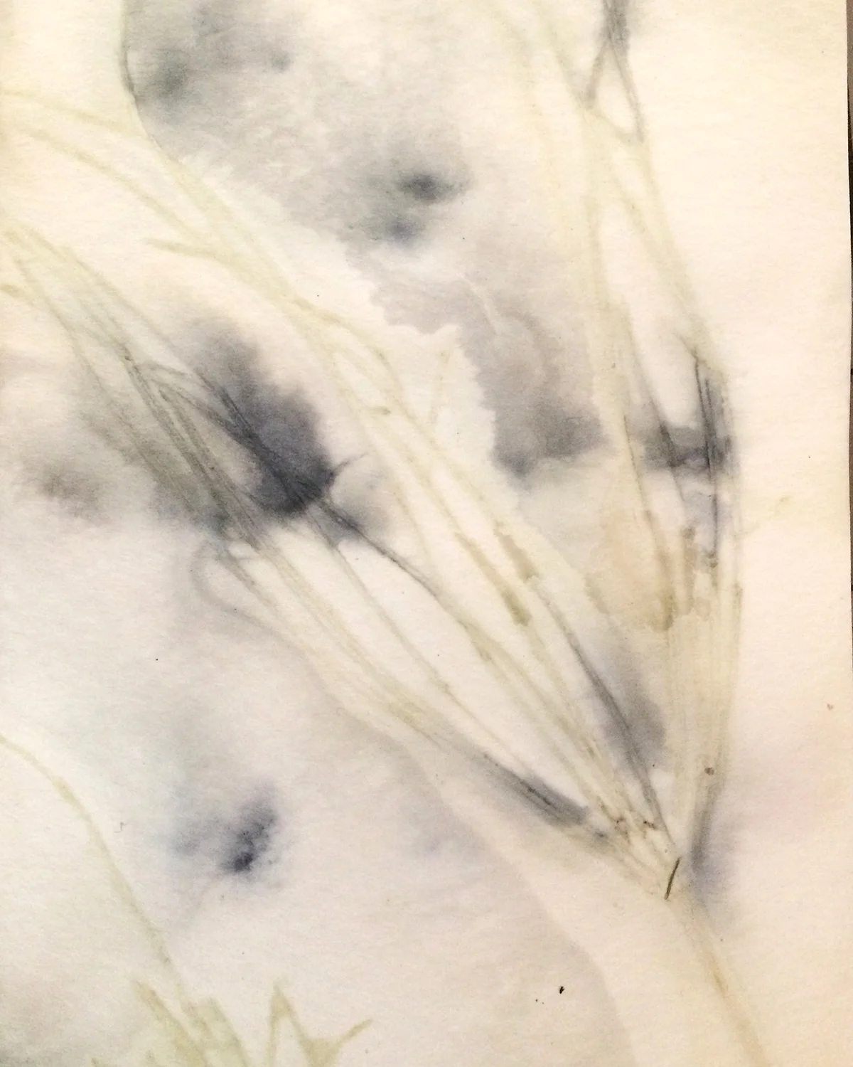 Printmaking