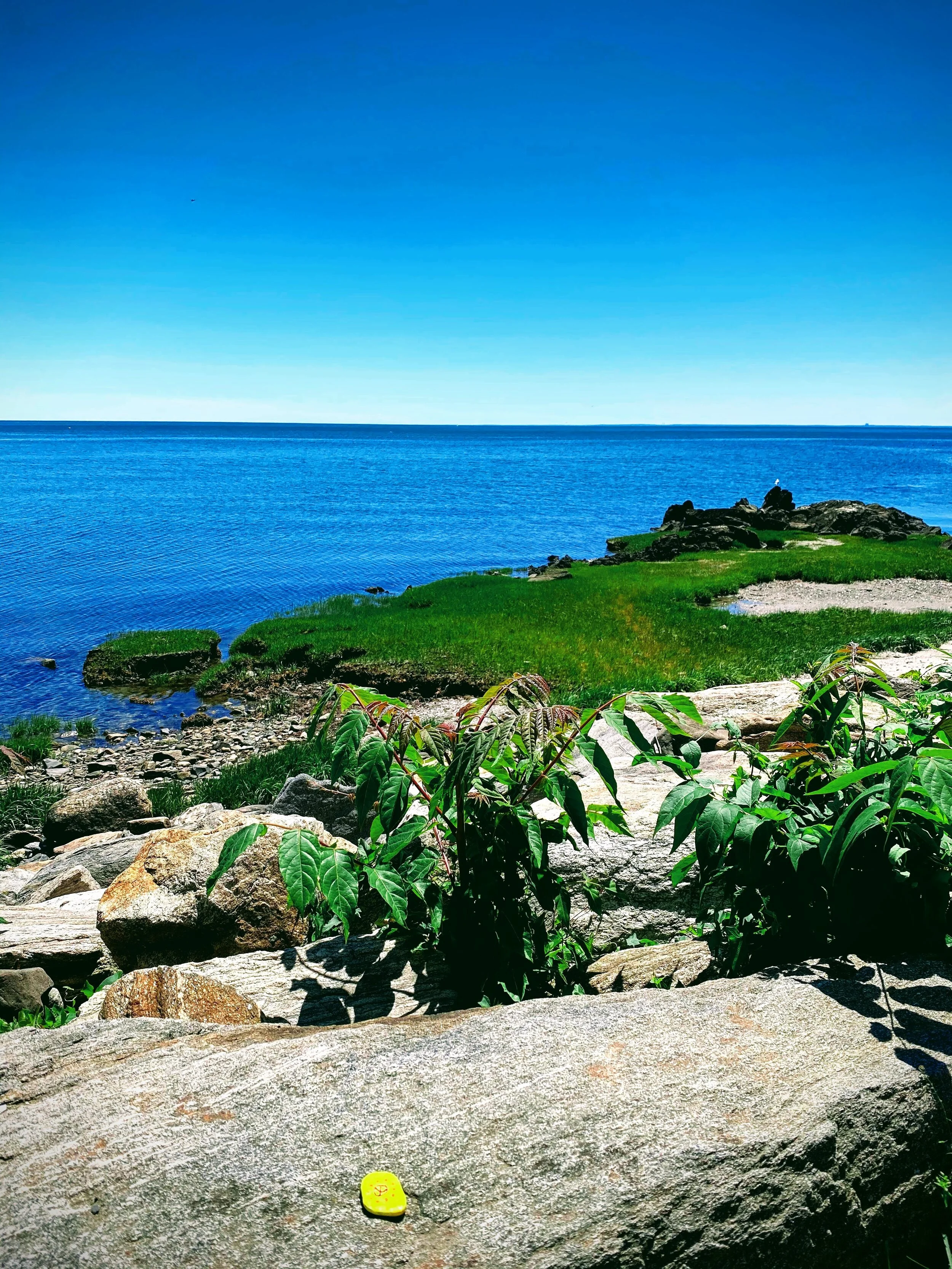 Coastal landscape with ocean view, blue sky, rocky shoreline, green plants, and yellow painted rock.