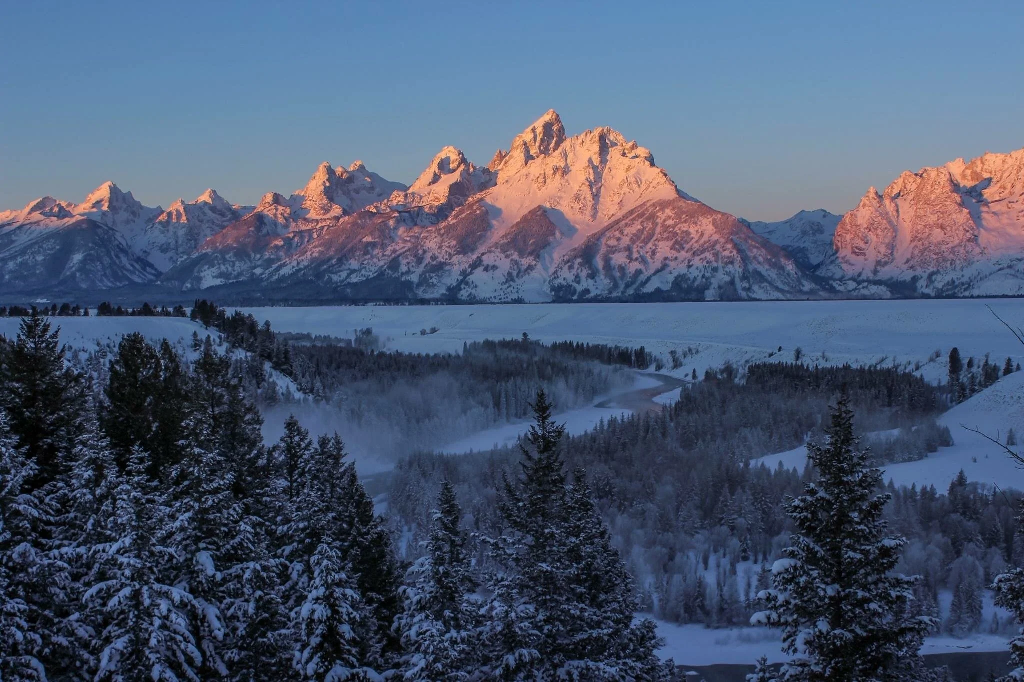 Snow-covered mountain range at sunrise with pine forest in foreground