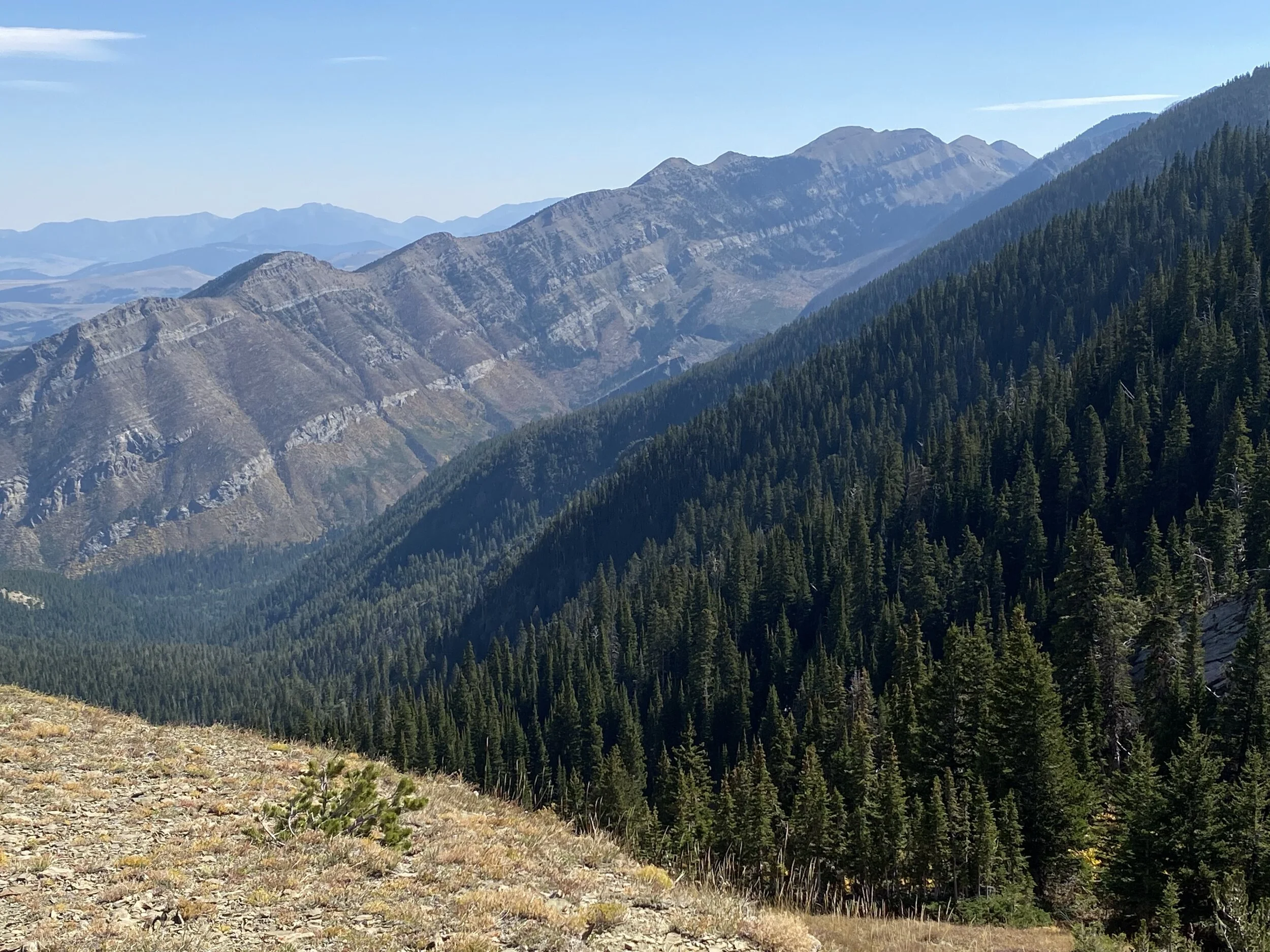 Suce Creek, Livingston, MT (Copy)