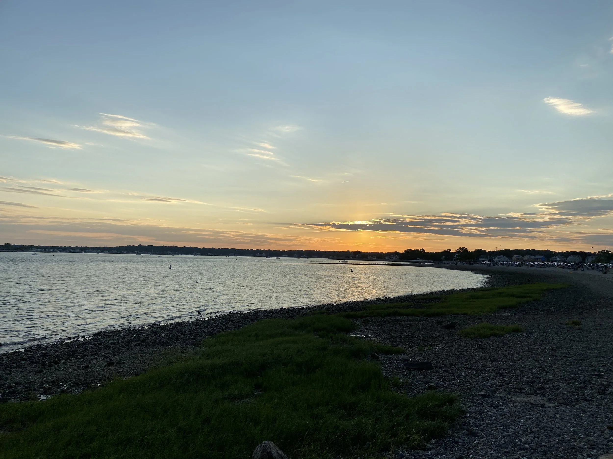 Sunset over a calm coastal shoreline with grass and rocks in the foreground
