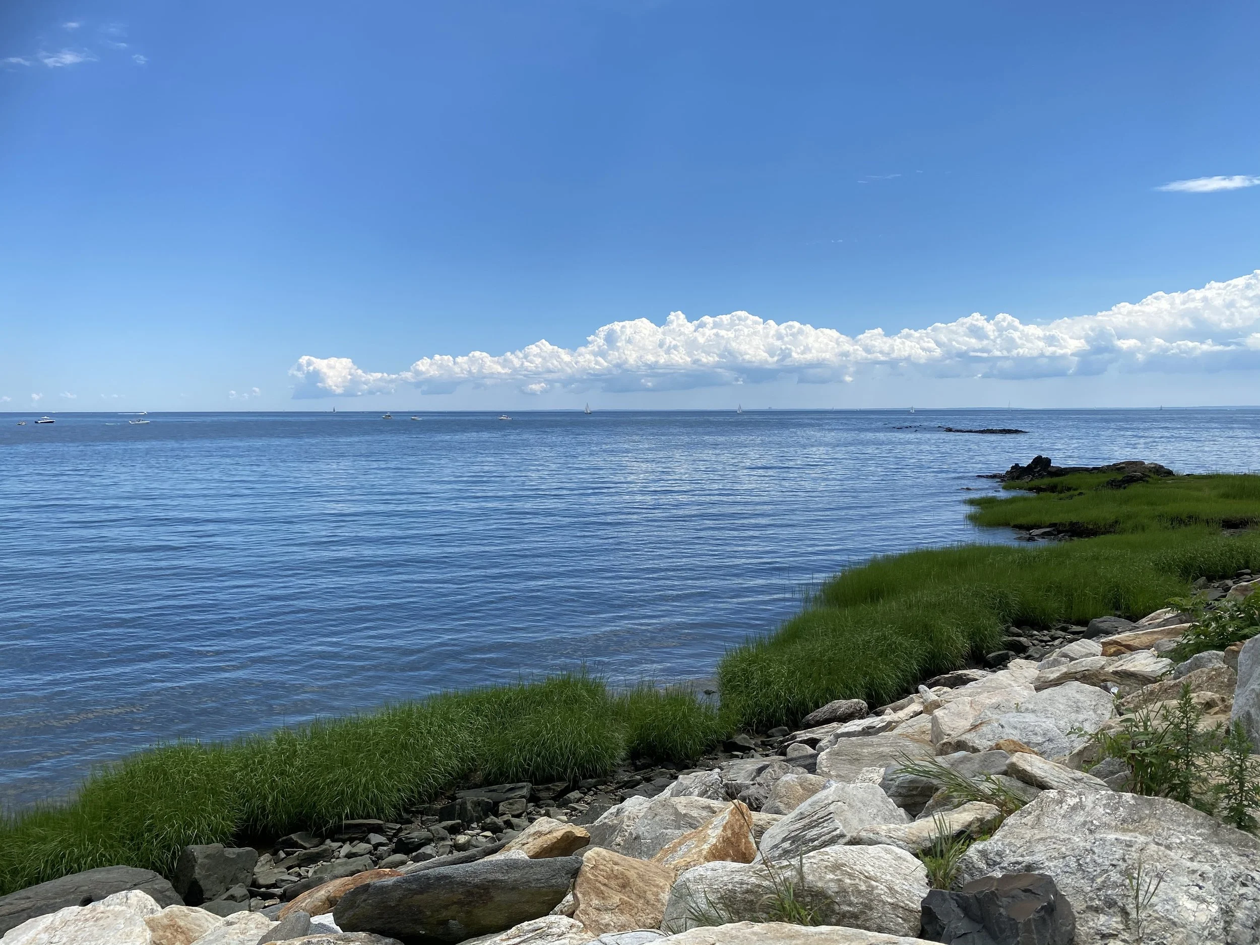 Ocean shoreline with rocks and grass, under a blue sky with clouds.