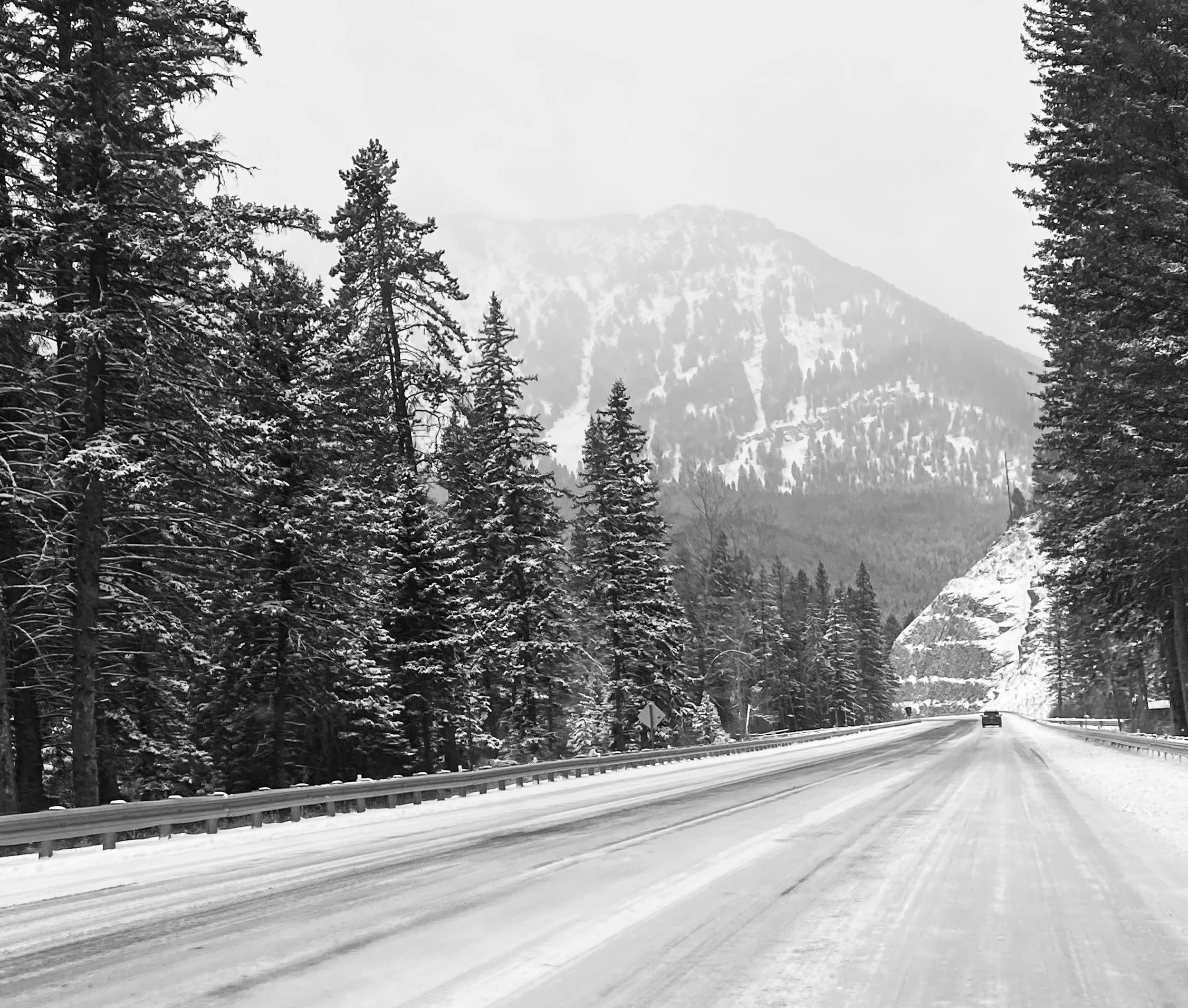 Gallatin Road (Copy)