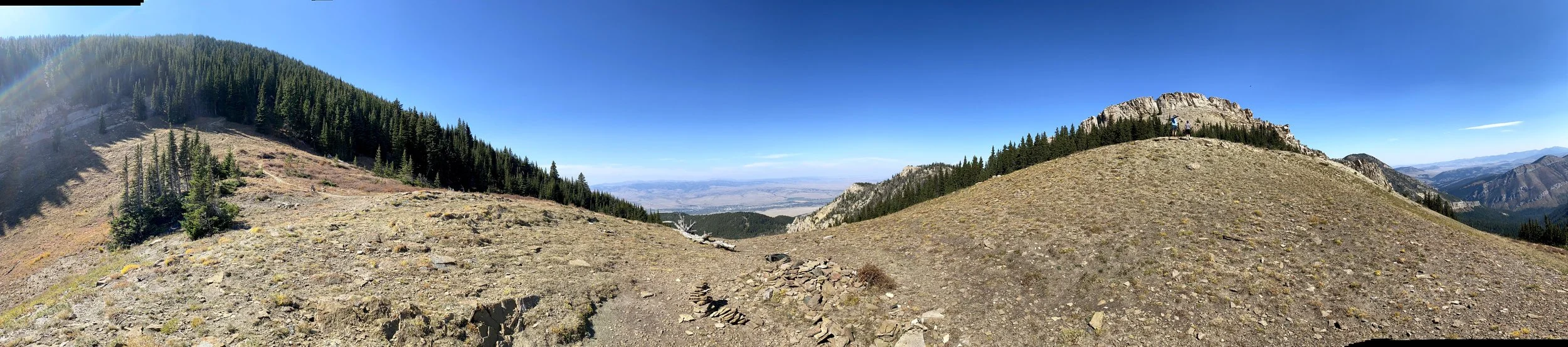 Panoramic view of rocky mountain landscape with sparse vegetation, coniferous trees, and clear blue sky.