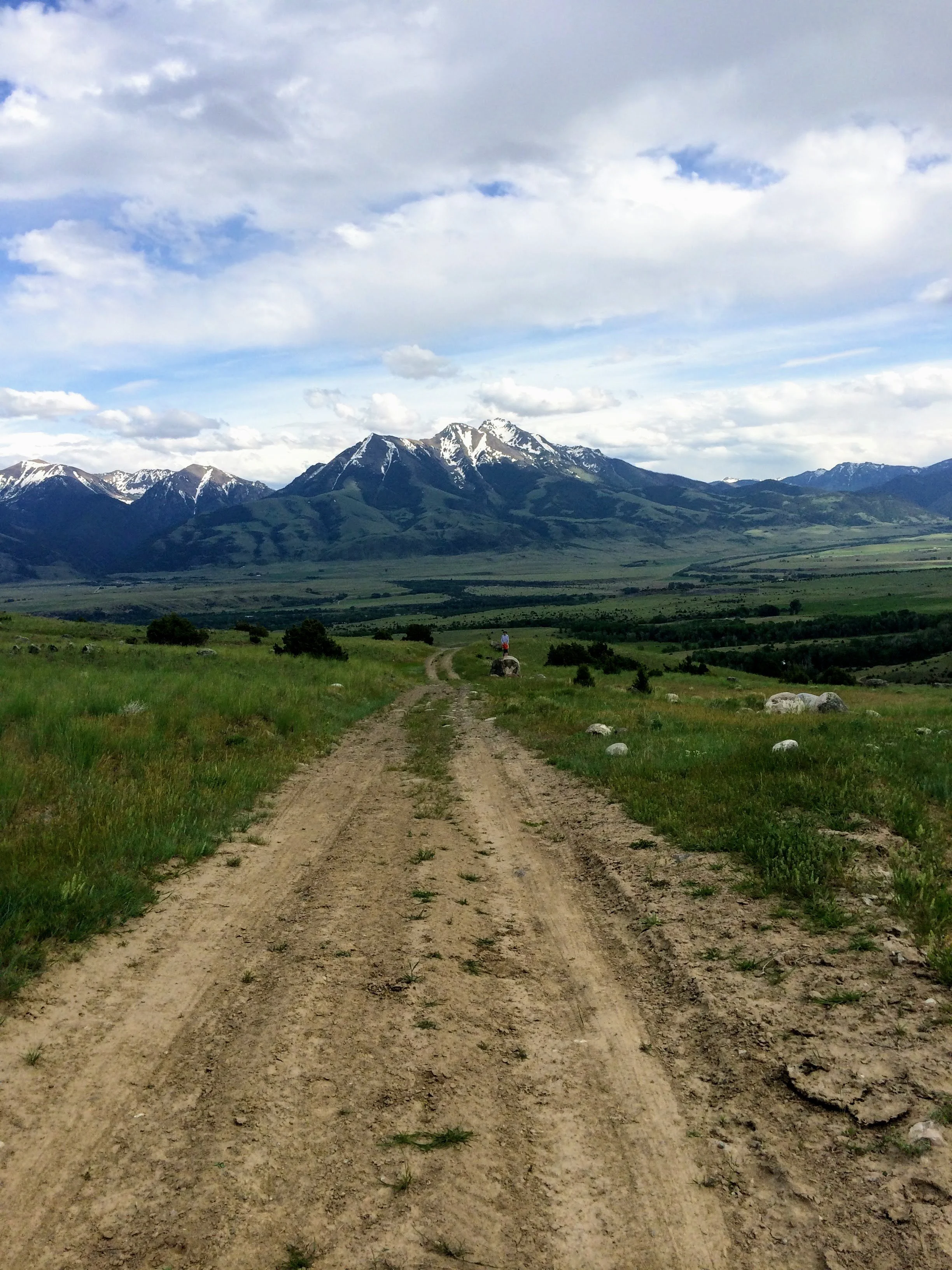 Mountain landscape with dirt road and grassy fields