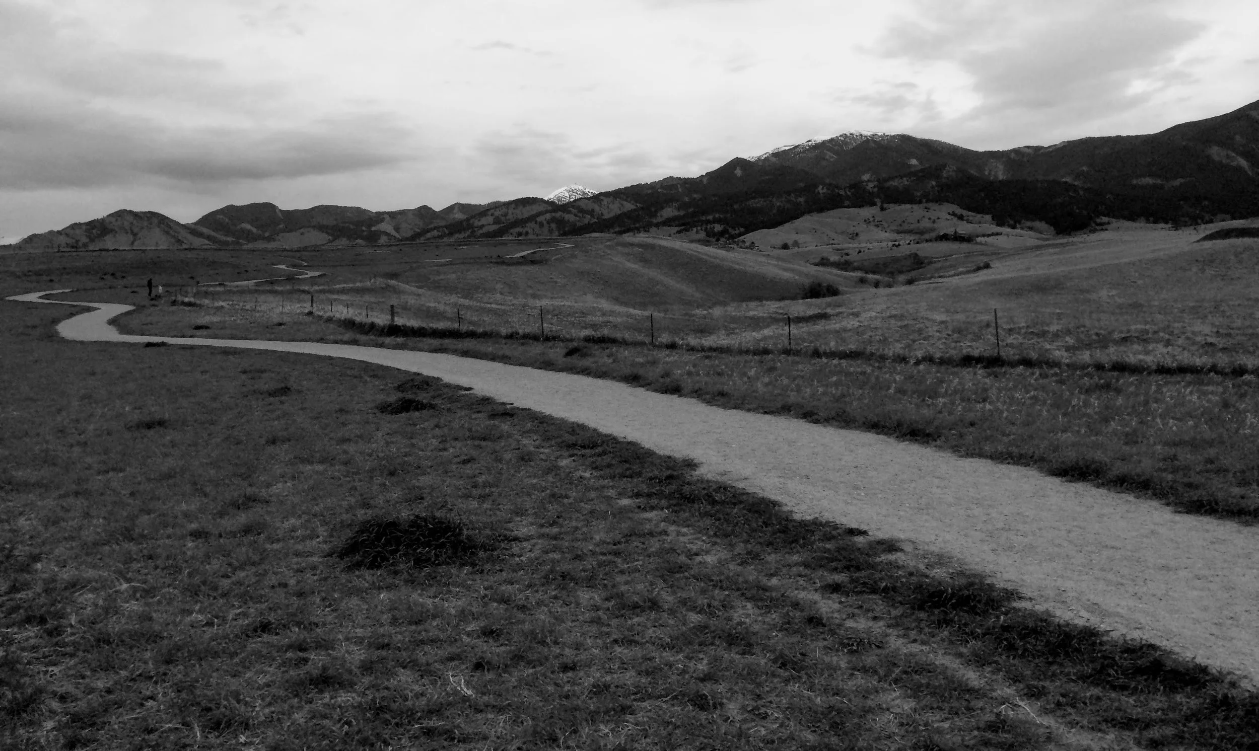Black and white landscape with winding path, grass, and mountains