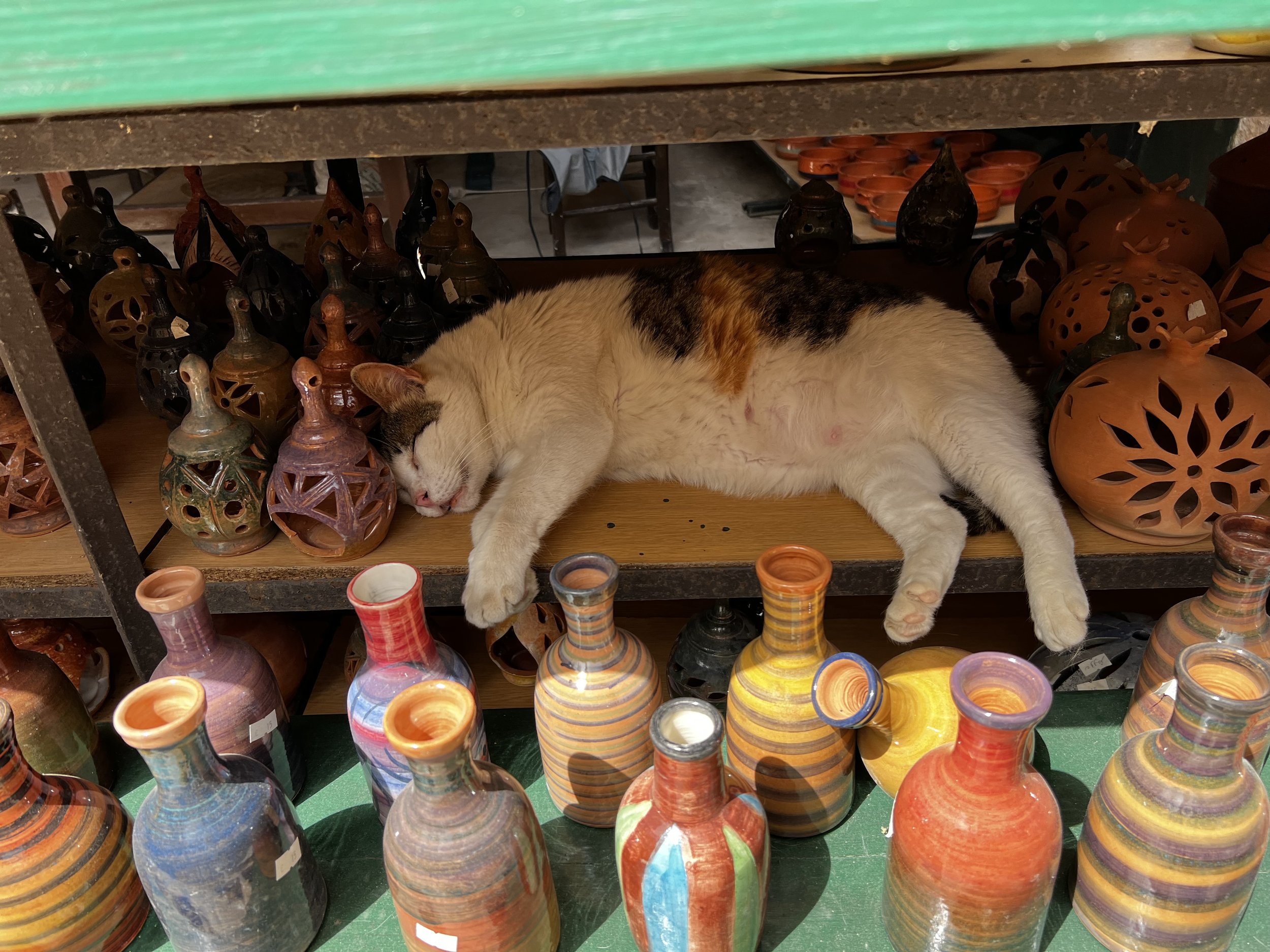 Cat sleeping among colorful pottery on a shelf.