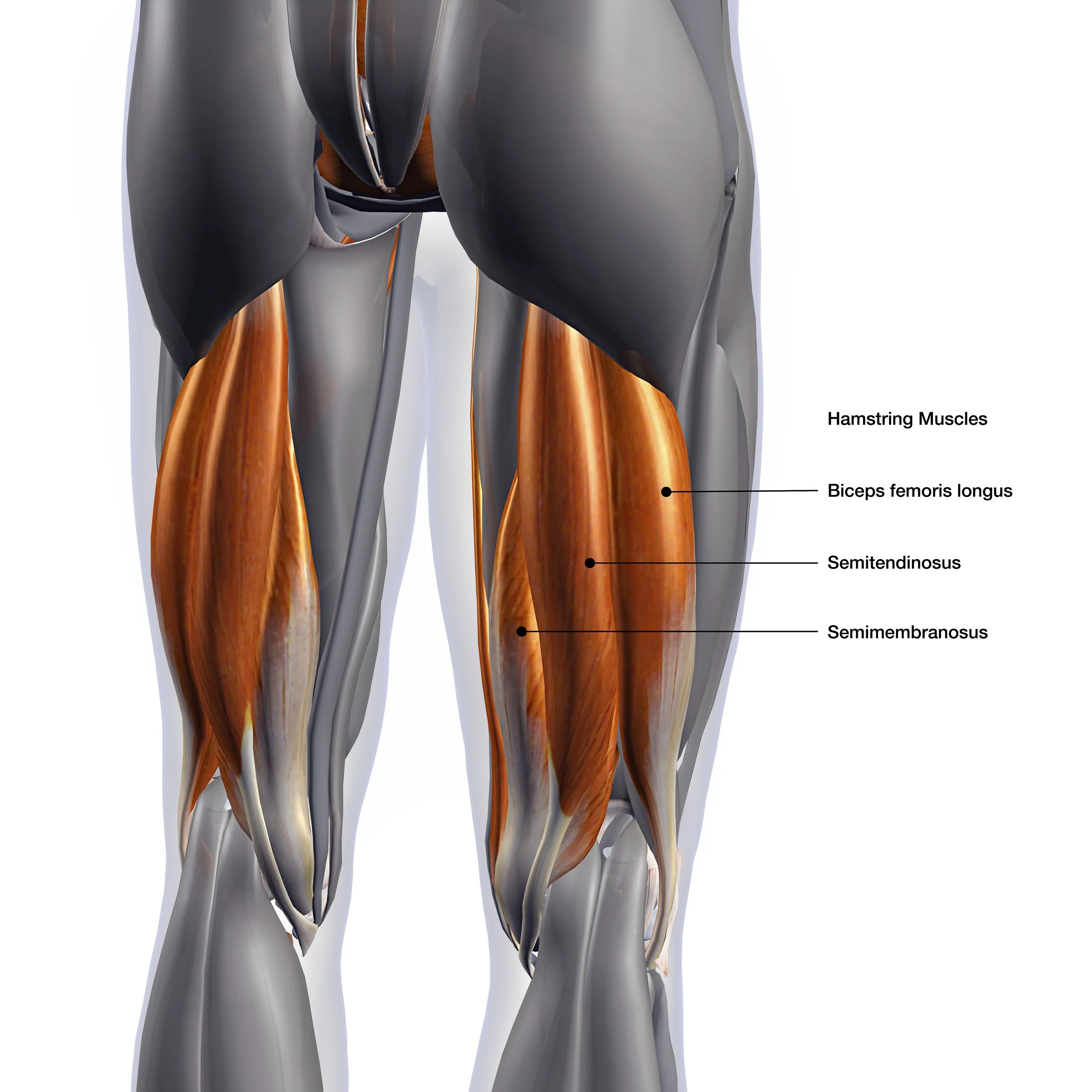 Hamstring Strains, More Prevalent Than Tommy John?