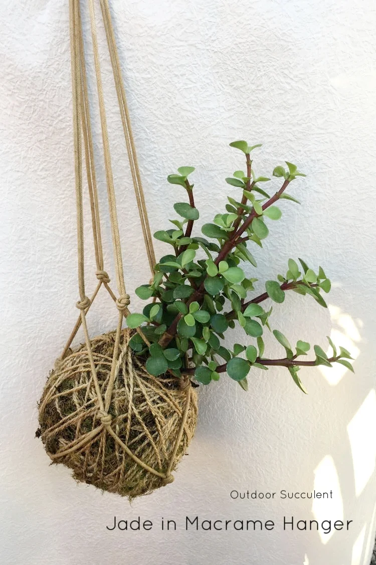 Jade in macrame.jpg