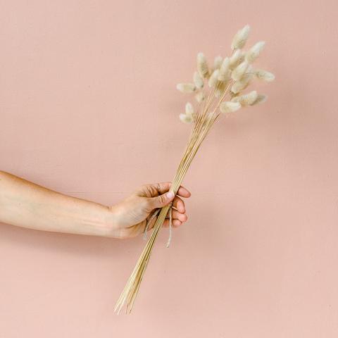 bunny tail.jpg
