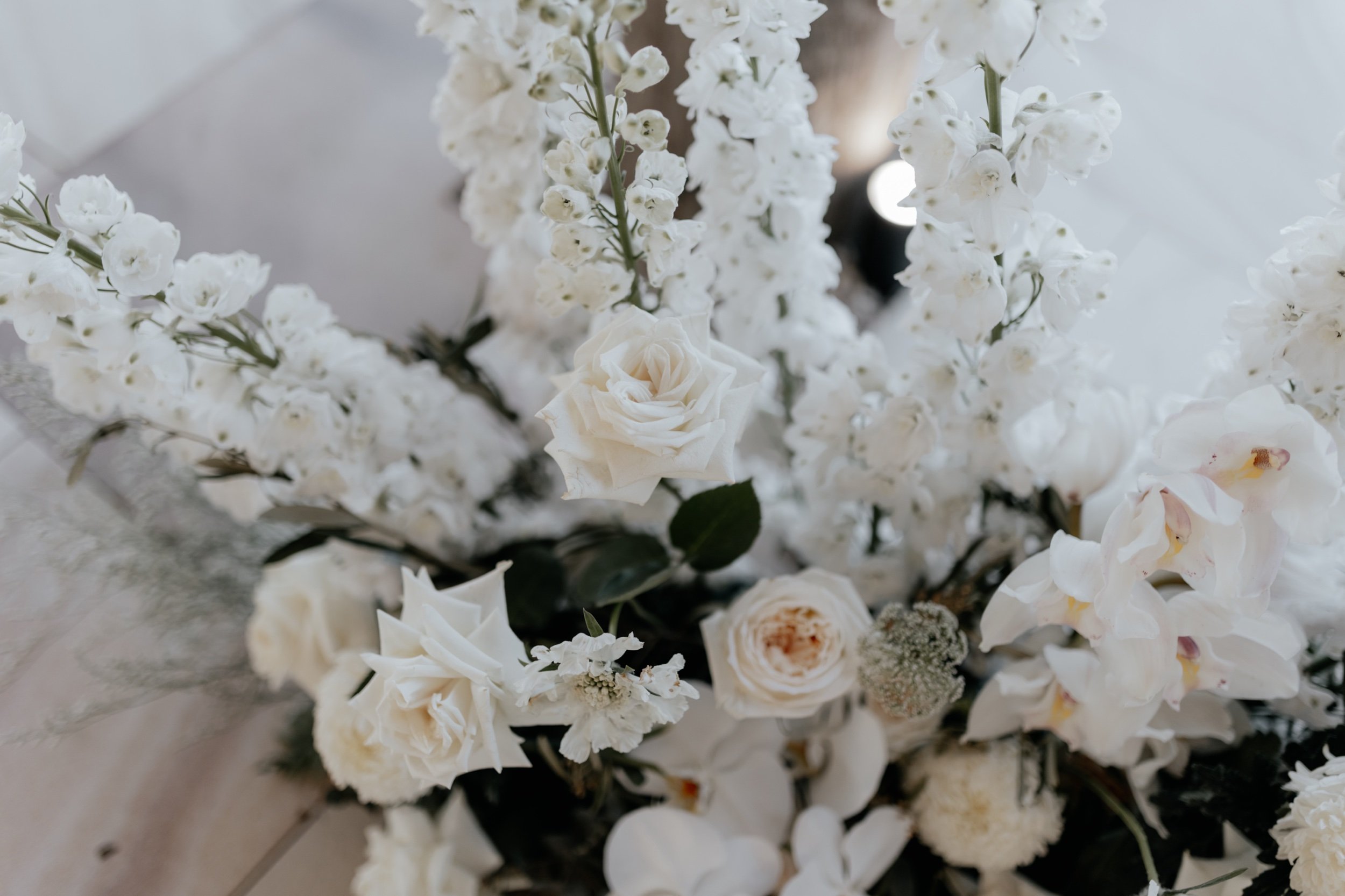 J+Jwedding-78.jpeg