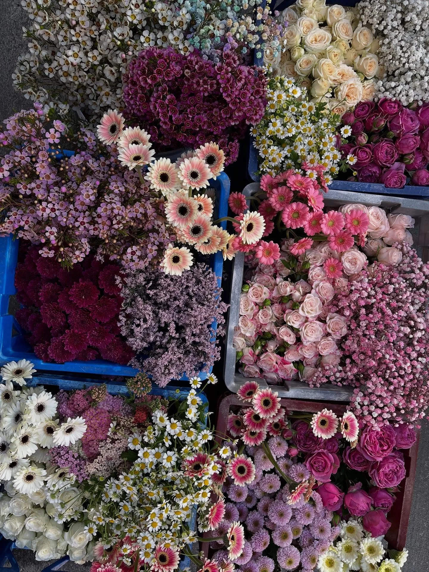 W O R K S H O P S . 🌸

Yes I do them. I come to you. It&rsquo;s lots of fun.
This on was held at the beautiful @emmascottage in Lovedale for @eliseedwards_ Bridal Shower. Complete with Live music, mimosas and brunch. What a combo!