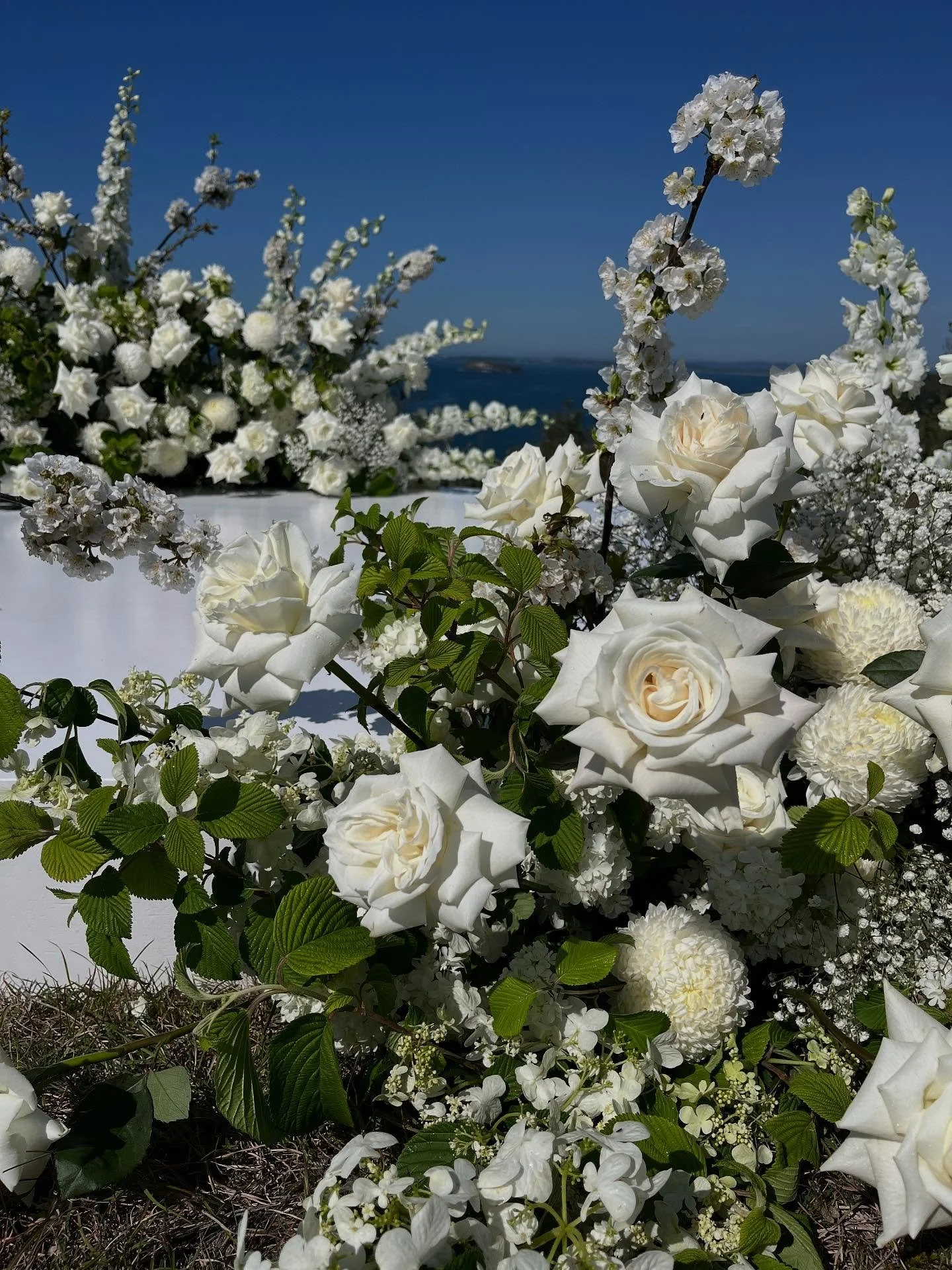 B . &amp; . J . 🙌🏻

@coastaleleganceevents_ just making wedding dreams come true for Bec &amp; James yesterday. Working with this epic stage is always a dream. Thanks for having us. And how about this view?! Complete with breaching humpbacks 🐋