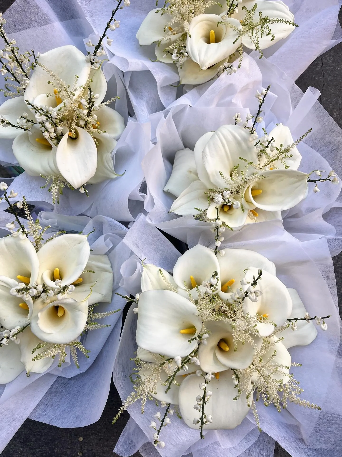 C A L L A L I L Y . 🙌🏻

For Chantelle &amp; her maids x