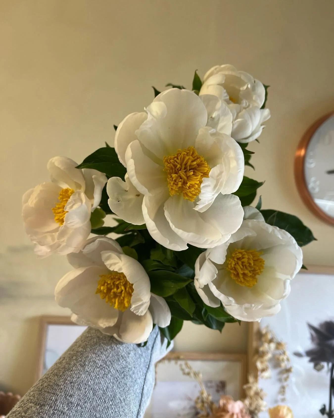 T R E E . P E O N Y . 🙌🏻