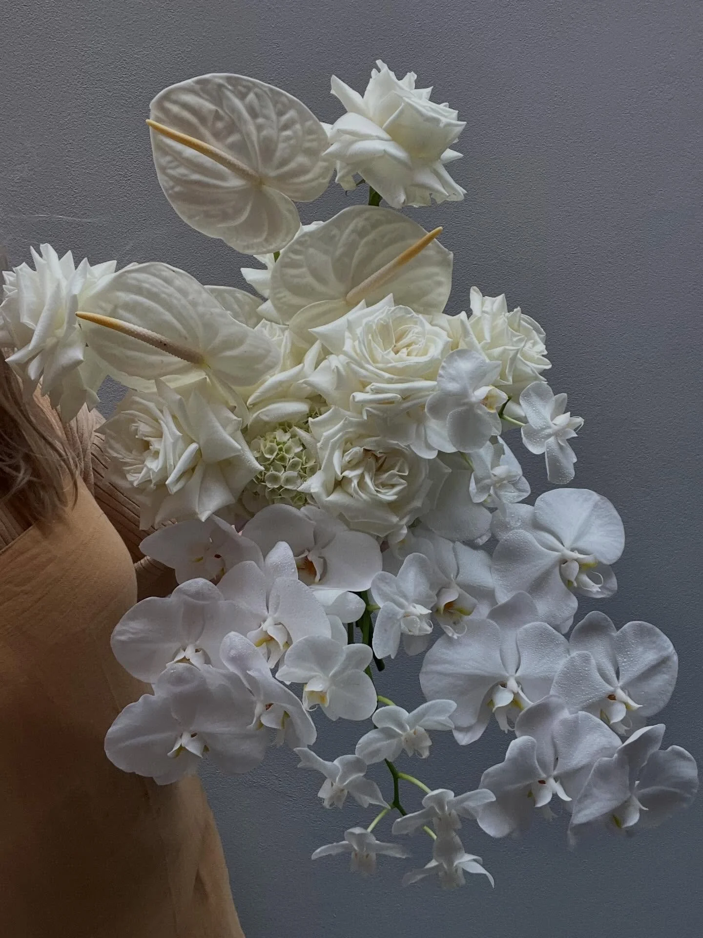 C L A S S I C . 💗