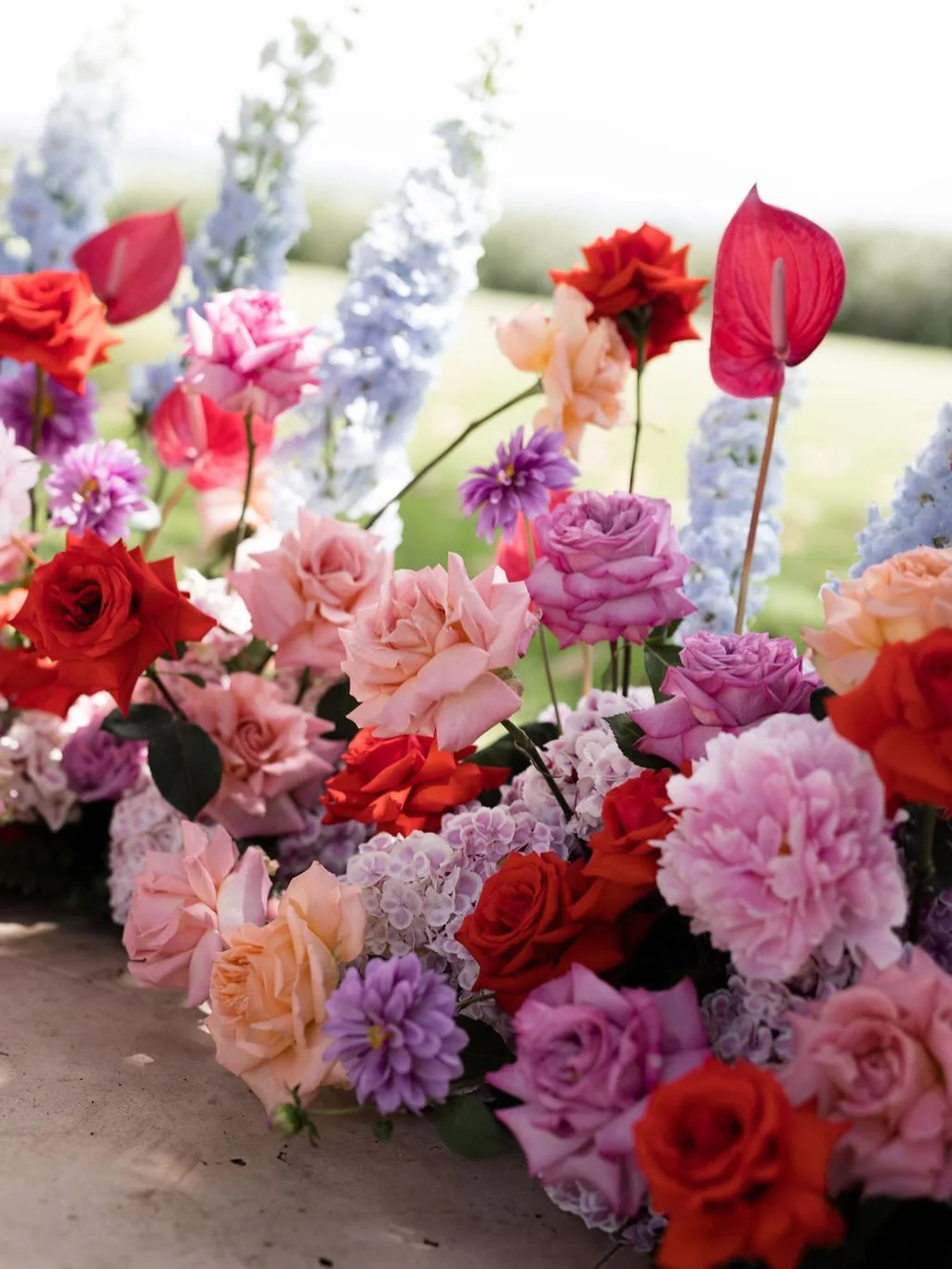 L O V E . N E S T . ❤️