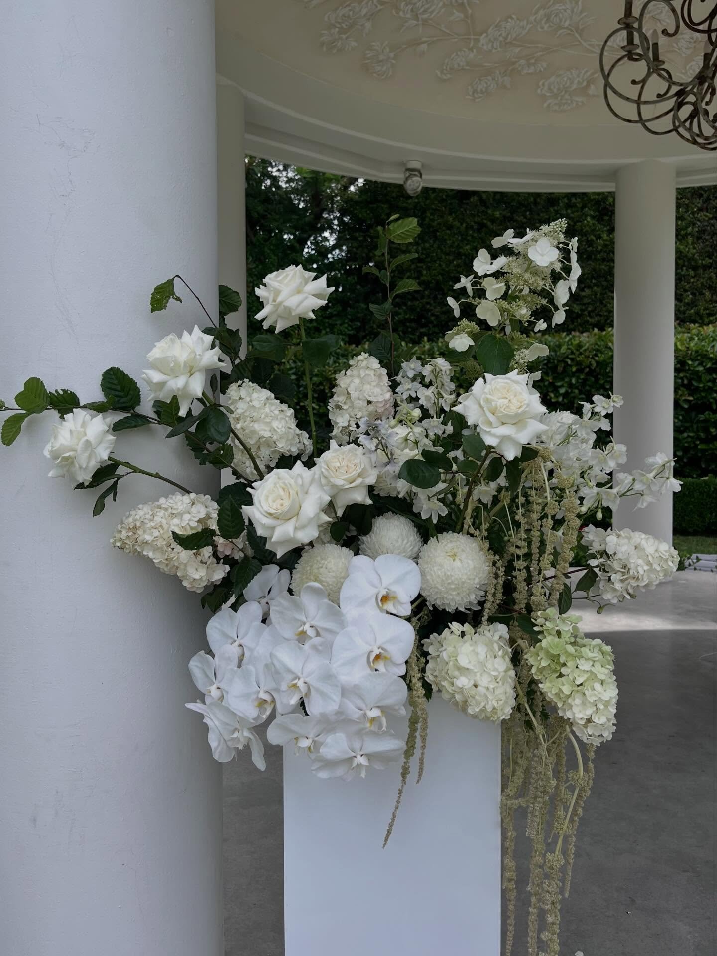 M I R A M E R E . 🤍