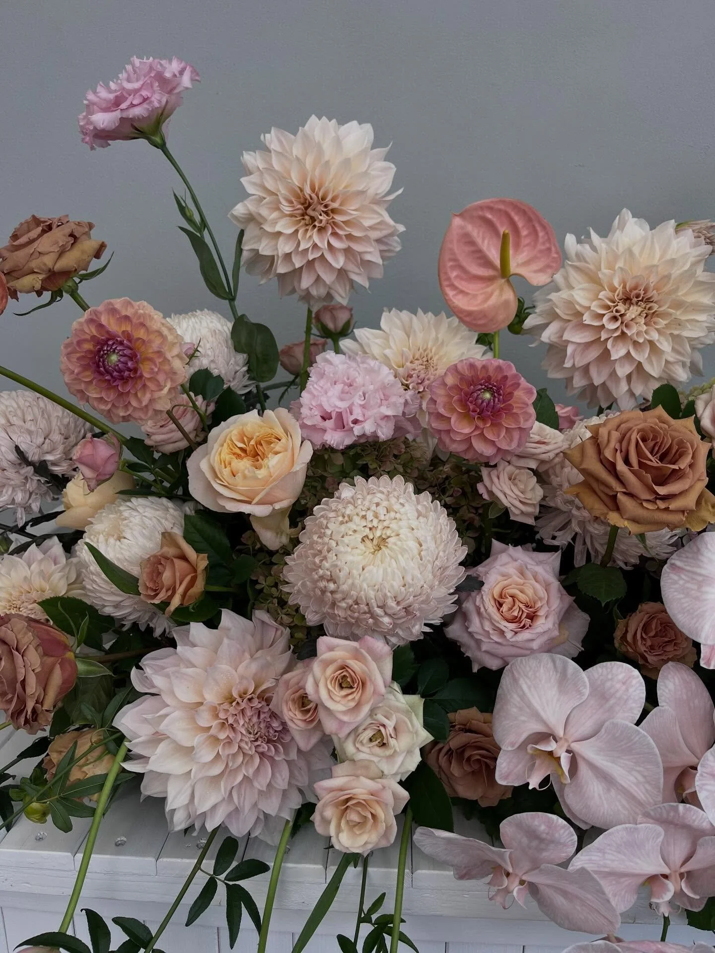 R . &amp; . J . 💫