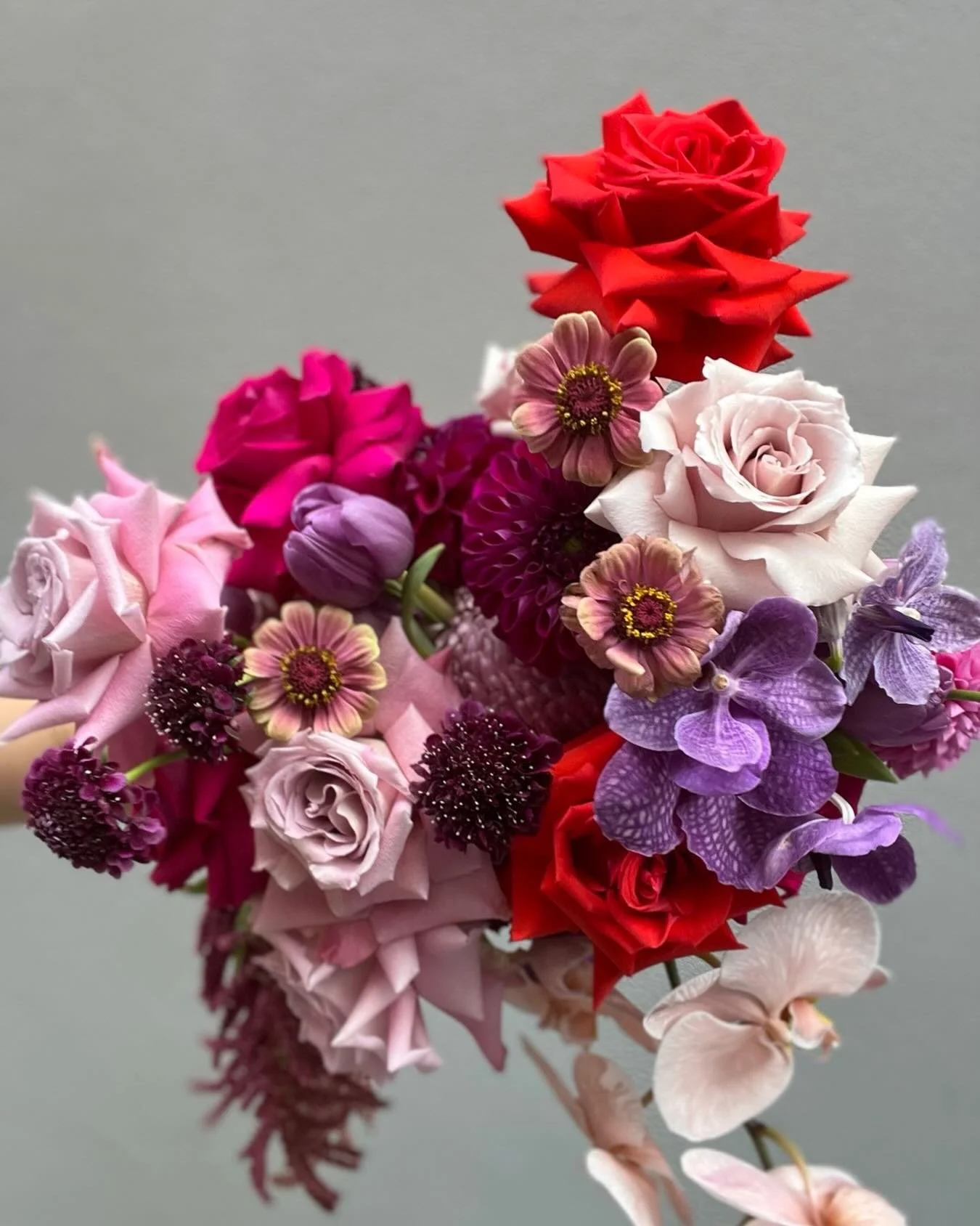 J E W E L . T O N E S . 💎