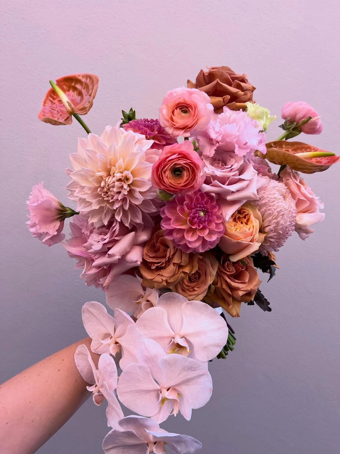 R E B E C C A . 💗