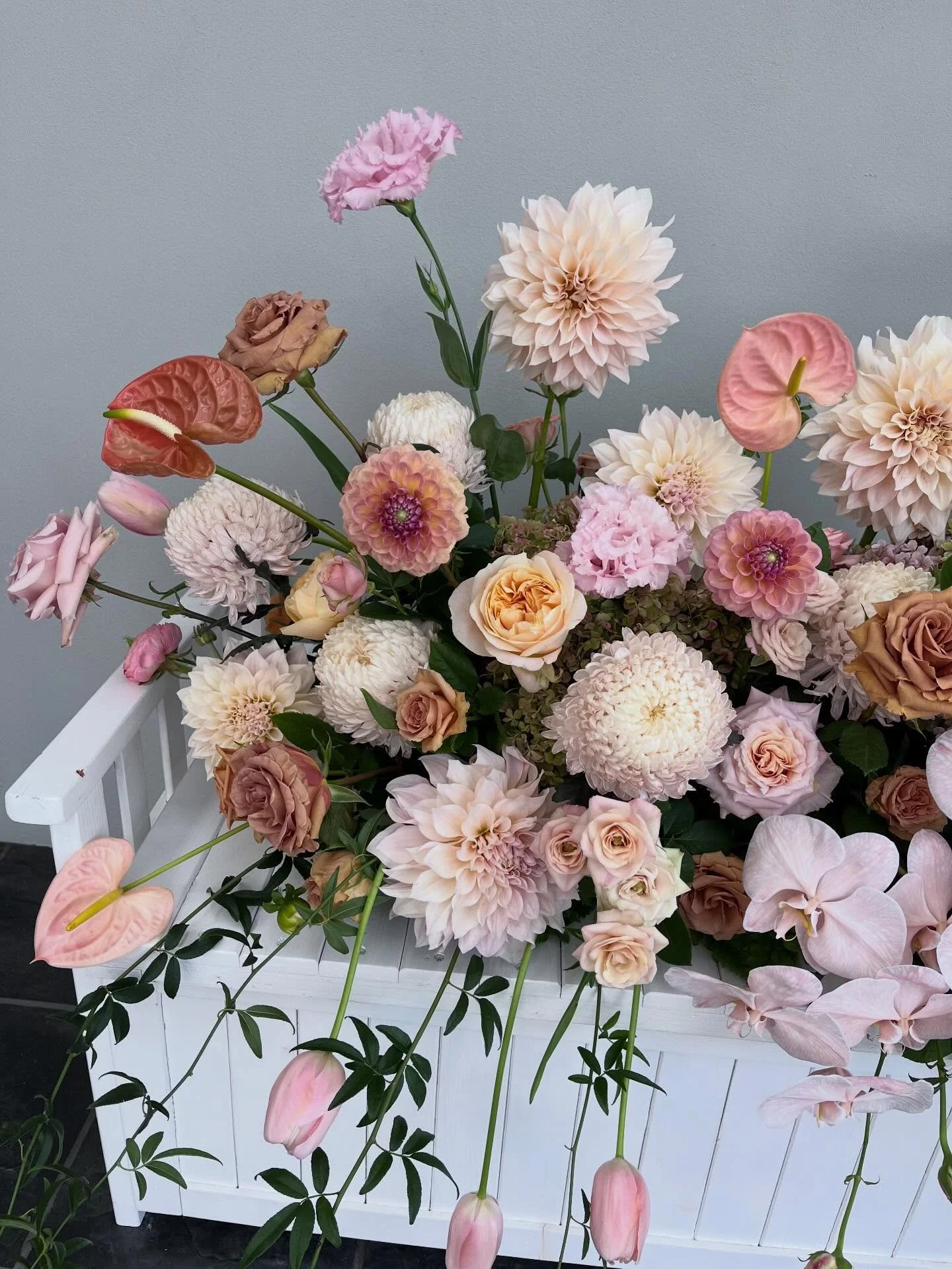 T O F F E E . ✌🏻