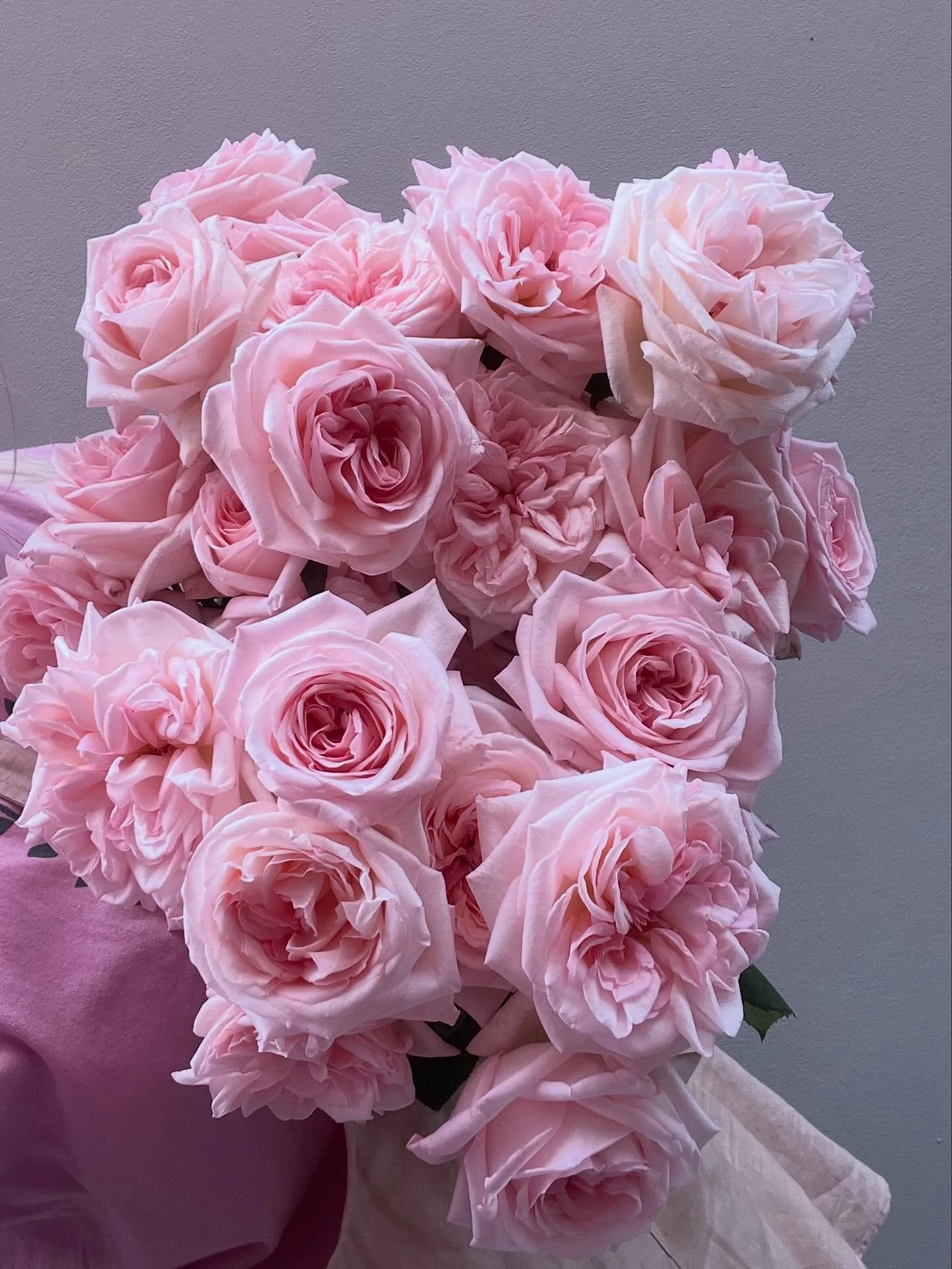 P R I N C E S S . 👑