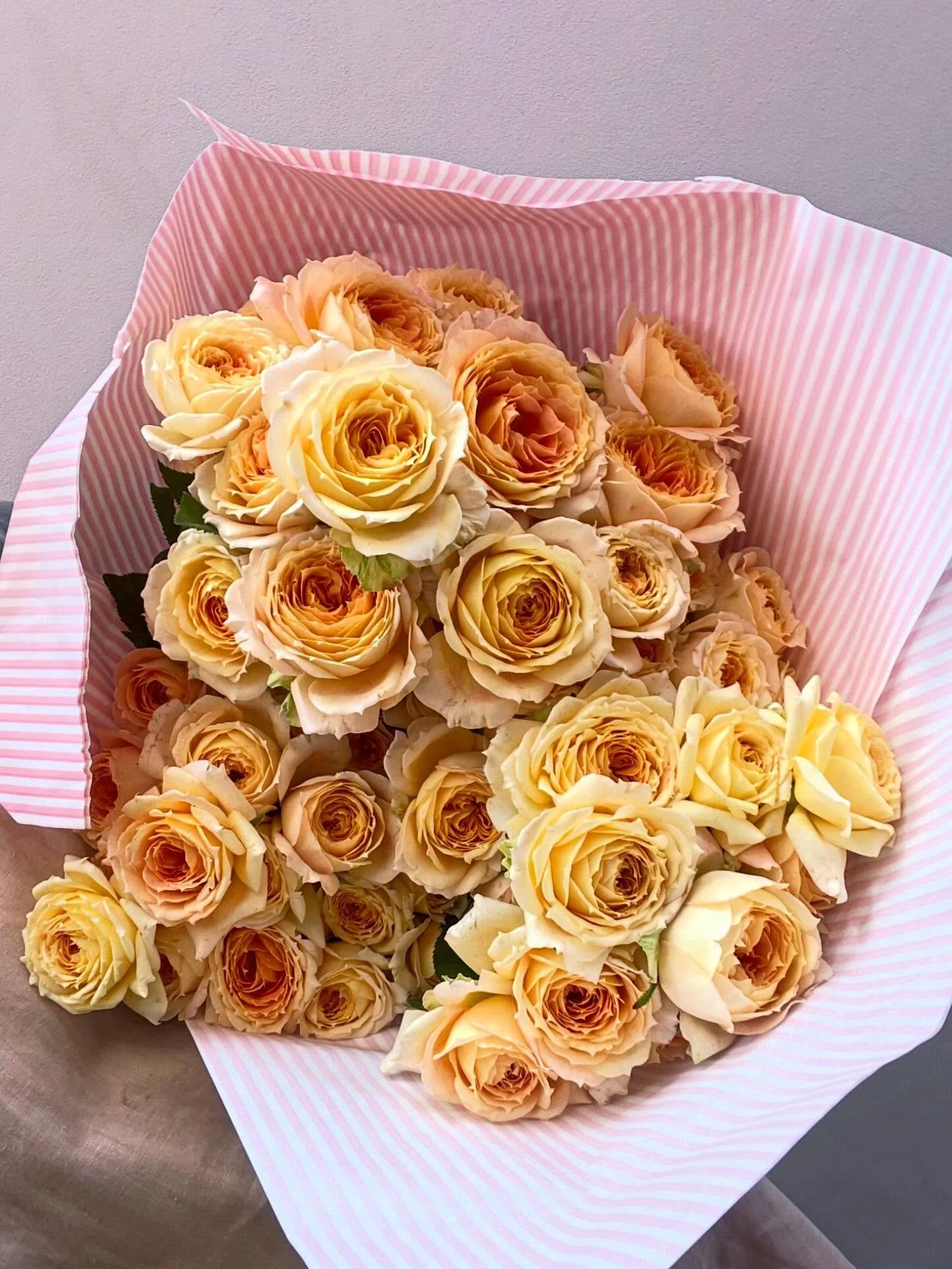 R O S E S . 🙌🏻