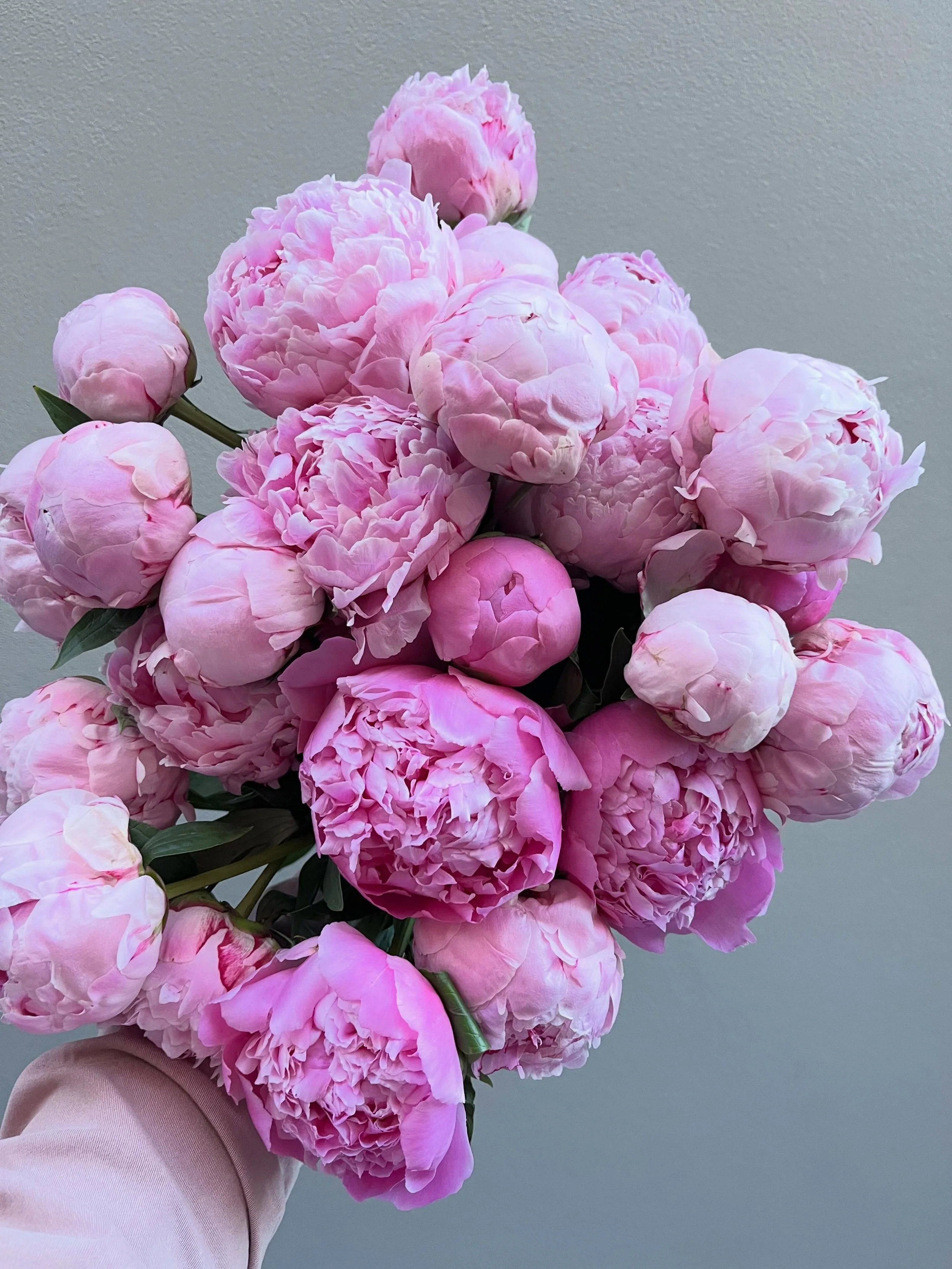 O B S S E S S E D . 💗
