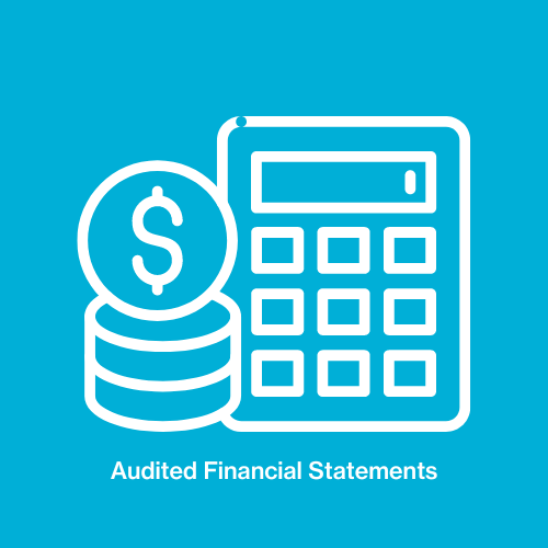 Audited Financial Statements