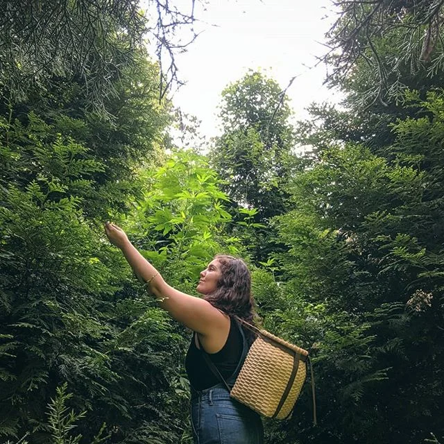 Working with others will absolutely help you become a great herbalist – but mostly, it will teach you about yourself. Practice will encourage you to examine your own biases, the ways in which you look at the world, shift your definition of healing, and force you to come to terms with things you never thought you'd face. Your clients will come to you with their own struggles and ailments, sure, but they will also mirror back the aspects of yourself that need healing too. Practice will push you and pull at you and stretch you to your absolute limits. You may feel like giving up over and over again. But like all things in life, it's these growing pains that offer you the most incredible opportunities to rise up and fulfill your calling. You never really know what's going to come up in a session for you or for your client but do not fear this – just show up. Show up for your clients and show up for yourself. This is how we heal 🌿 a message I wish I could send back in time to my past self before she starting wandering down this wild path ✨