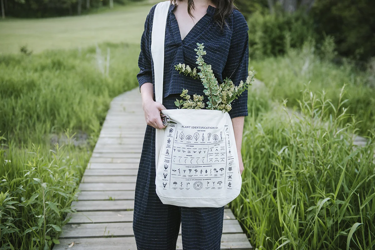 Back to school photos - Herbal Academy.jpg