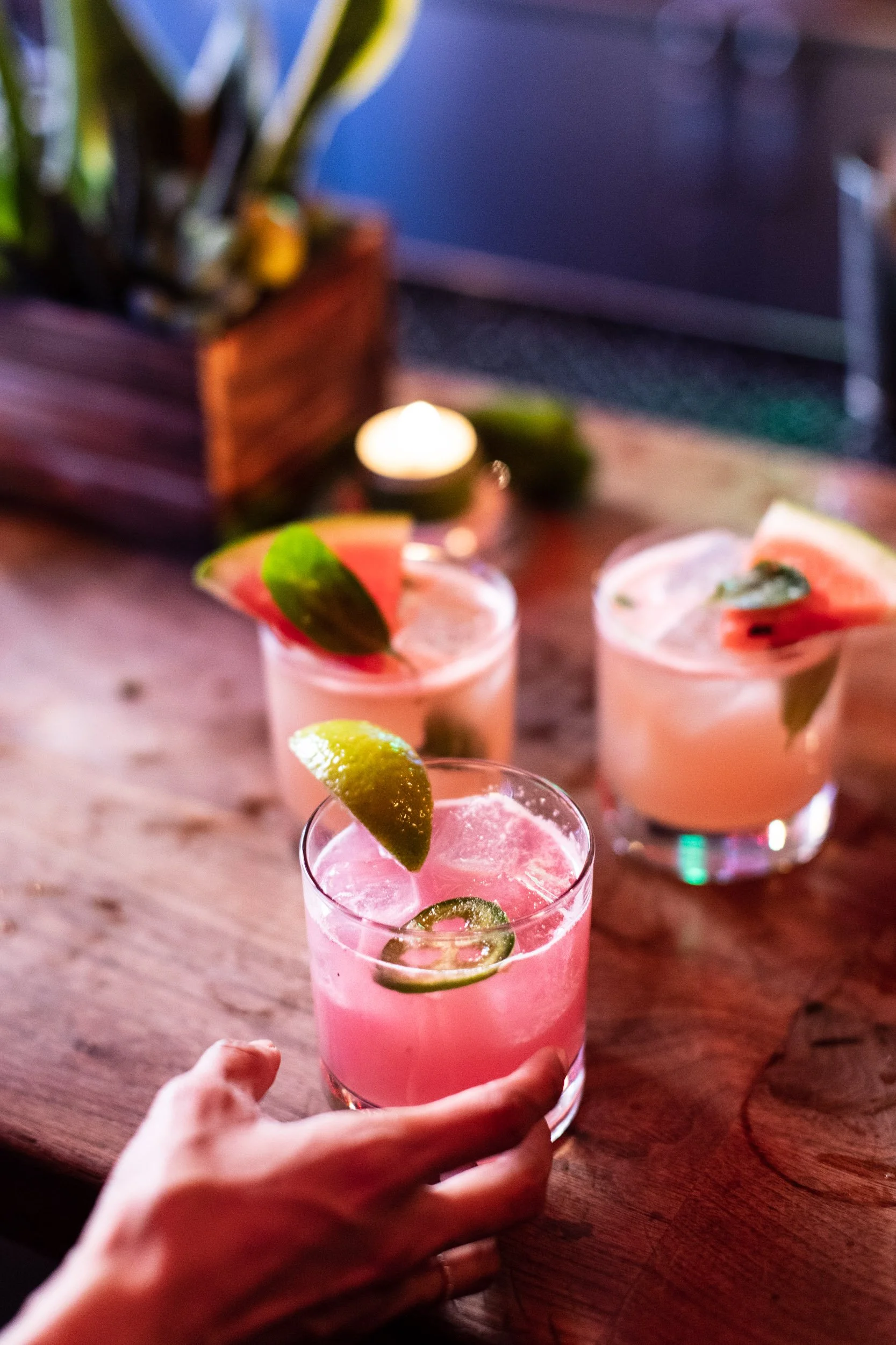 Patron-3.jpg